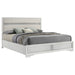 Miranda California King, E.King, Queen, Full, & Twin Bed Black & White - Jax Mattress (Jacksonville, FL)