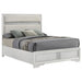 Miranda California King, E.King, Queen, Full, & Twin Bed Black & White - Jax Mattress (Jacksonville, FL)