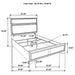 Miranda California King, E.King, Queen, Full, & Twin Bed Black & White - Jax Mattress (Jacksonville, FL)