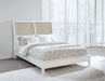 Bexhill California King, E.King, Queen Bed - Jax Mattress (Jacksonville, FL)