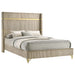 Lucia Queen Bed - Jax Mattress (Jacksonville, FL)