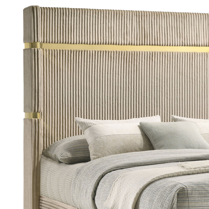 Lucia Queen Bed - Jax Mattress (Jacksonville, FL)