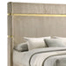 Lucia Queen Bed - Jax Mattress (Jacksonville, FL)