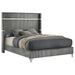 Lucia Queen Bed - Jax Mattress (Jacksonville, FL)