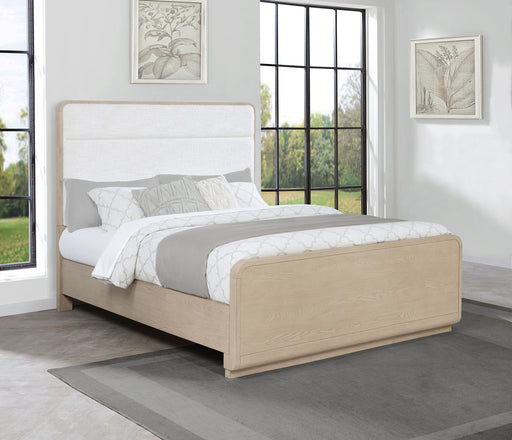 Ladera Queen Beds - Jax Mattress (Jacksonville, FL)