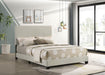Dorian Beds 2 - Jax Mattress (Jacksonville, FL)