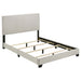 Dorian Beds 2 - Jax Mattress (Jacksonville, FL)