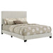 Dorian Beds 2 - Jax Mattress (Jacksonville, FL)