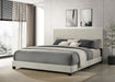 Dorian Beds 2 - Jax Mattress (Jacksonville, FL)