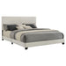 Dorian Beds 2 - Jax Mattress (Jacksonville, FL)