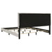 Dorian Beds 2 - Jax Mattress (Jacksonville, FL)