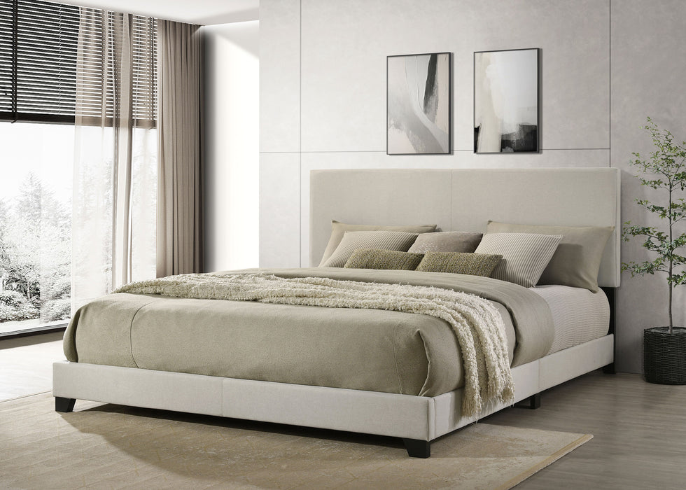 Dorian Beds 2 - Jax Mattress (Jacksonville, FL)
