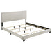 Dorian Beds 2 - Jax Mattress (Jacksonville, FL)