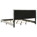 Dorian Beds 2 - Jax Mattress (Jacksonville, FL)