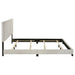 Dorian Beds 2 - Jax Mattress (Jacksonville, FL)
