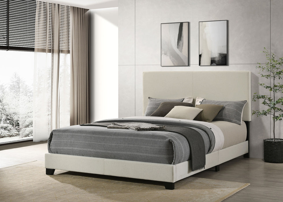 Dorian Beds 2 - Jax Mattress (Jacksonville, FL)