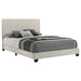 Dorian Beds 2 - Jax Mattress (Jacksonville, FL)