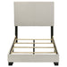 Dorian Beds 2 - Jax Mattress (Jacksonville, FL)