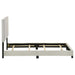 Dorian Beds 2 - Jax Mattress (Jacksonville, FL)