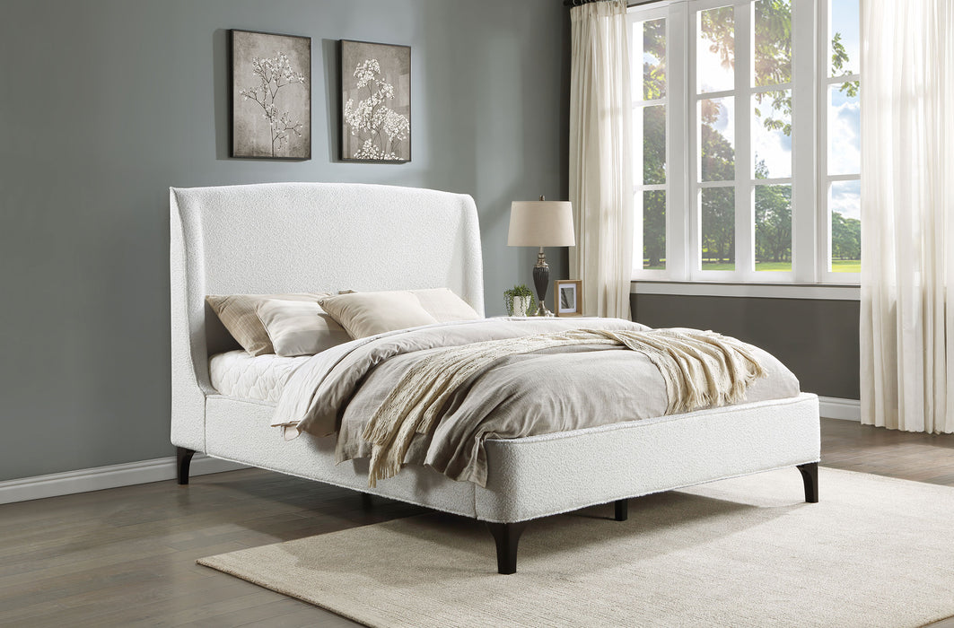 Mosby Queen Beds - Jax Mattress (Jacksonville, FL)