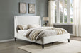 Mosby Queen Beds - Jax Mattress (Jacksonville, FL)