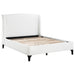 Mosby Queen Beds - Jax Mattress (Jacksonville, FL)