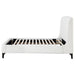 Mosby Queen Beds - Jax Mattress (Jacksonville, FL)