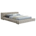Trinity Eastern King Bed - Jax Mattress (Jacksonville, FL)