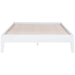 Hounslow Platform Bases - Jax Mattress (Jacksonville, FL)