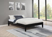 Hounslow Platform Bases - Jax Mattress (Jacksonville, FL)