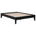Hounslow Platform Bases - Jax Mattress (Jacksonville, FL)