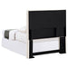 Pirro Twin Headboard - Jax Mattress (Jacksonville, FL)