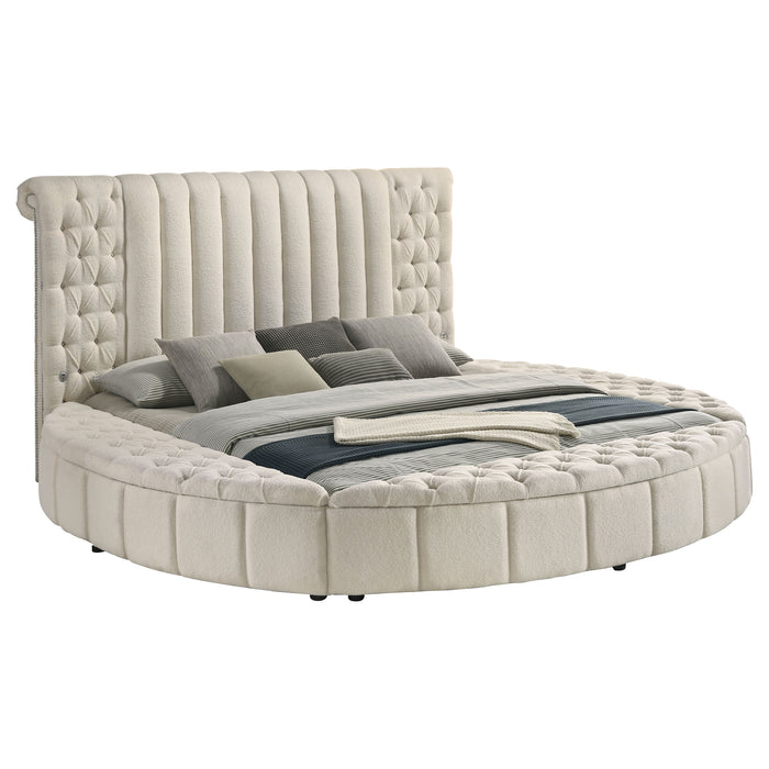 Sonya Eastern King & Queen Bed - Jax Mattress (Jacksonville, FL)