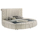 Sonya Eastern King & Queen Bed - Jax Mattress (Jacksonville, FL)