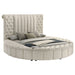 Sonya Eastern King & Queen Bed - Jax Mattress (Jacksonville, FL)