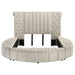 Sonya Eastern King & Queen Bed - Jax Mattress (Jacksonville, FL)