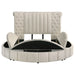Sonya Eastern King & Queen Bed - Jax Mattress (Jacksonville, FL)