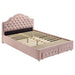 Ashleigh Full & Twin Bed - Jax Mattress (Jacksonville, FL)