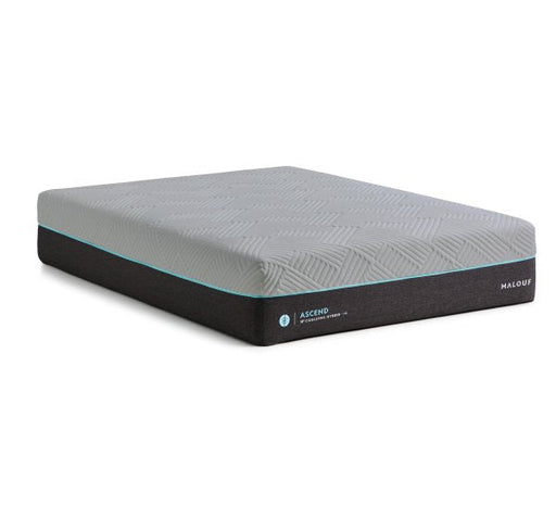 Malouf Ascend 14" Hybrid Mattress + HyperChill - Jax Mattress (Jacksonville, FL)