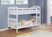 Chapman Bunk Beds - Jax Mattress (Jacksonville, FL)