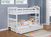 Chapman Bunk Beds - Jax Mattress (Jacksonville, FL)
